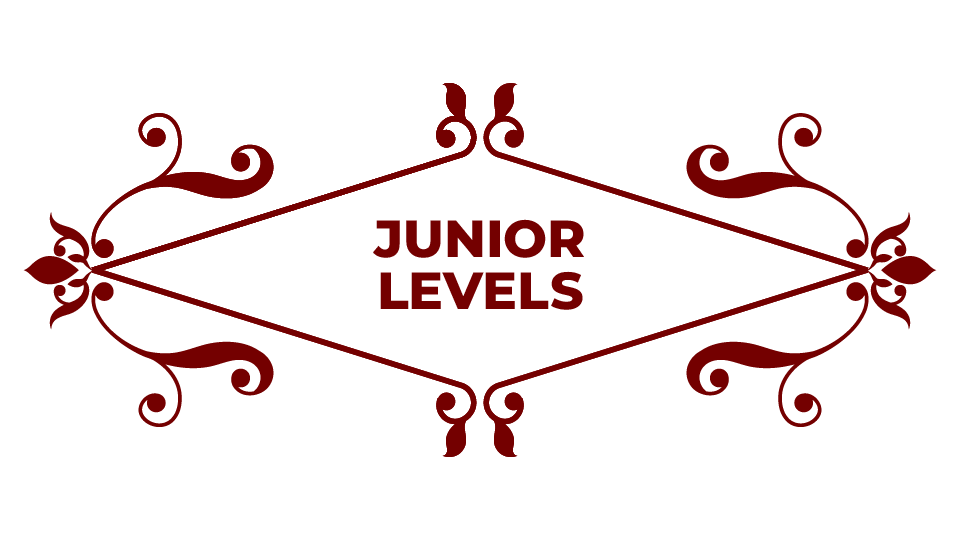 JUNIOR LEVELS