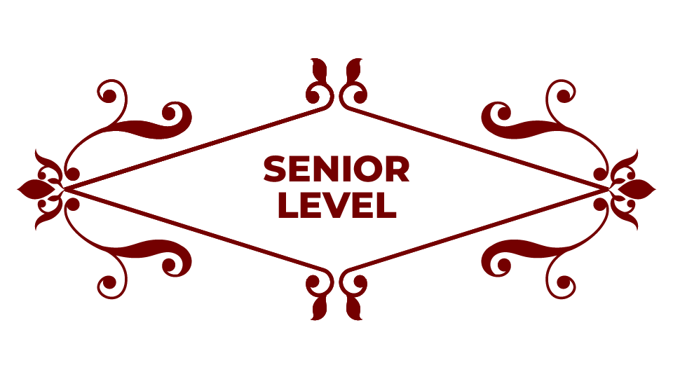 SENIOR LEVEL